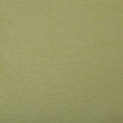 Kravet Contract Fabric Optima Green Tea
