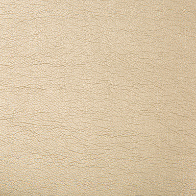 Kravet Contract Fabric Maximo Pewter