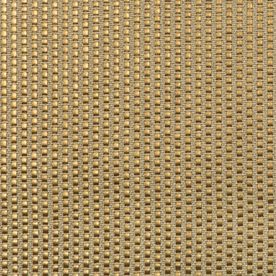 Kravet Couture Fabric Tendeza Burnished