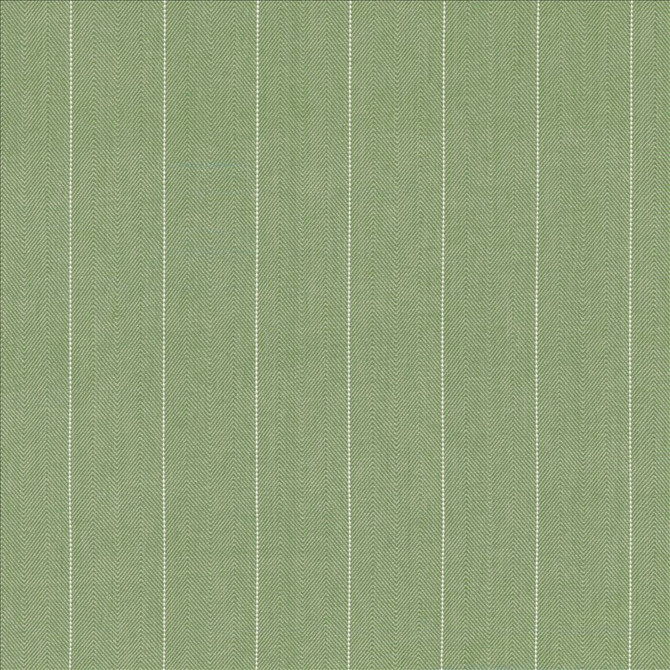 Kasmir Fabric Campus Stripe Thyme See sample 100% Cotton
 INDIA 12,000 Wyzenbeek Double Rubs </p><p>Repeat: Horizontal: 3 inches and Vertical: N/A 54 - My Fabric Connection -