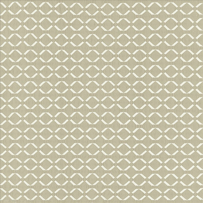 Kasmir Fabric Community Cloud 5141 72% Polyester
28% Cotton
 INDIA Not Tested Horizontal: 1 3/8 inches and Vertical: 1 2/8 inches 54 - My Fabric Connection -