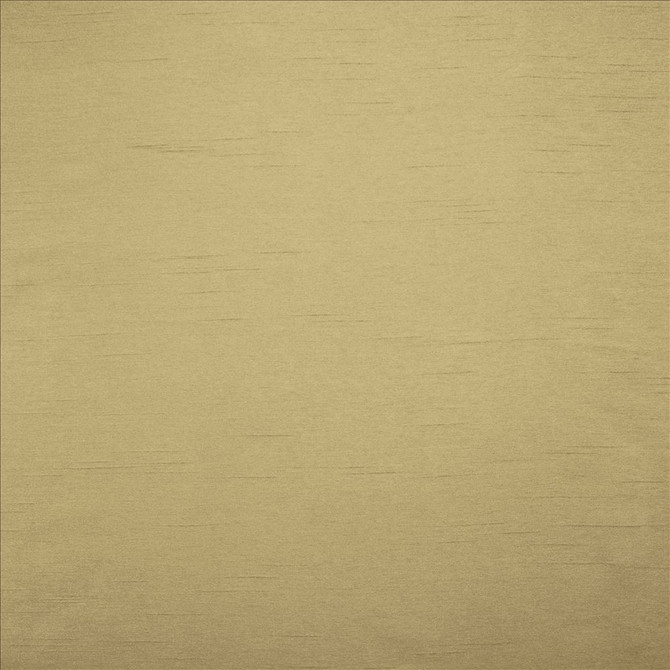 Kasmir Fabric Firenza Almond 5152 100% Polyester
 INDIA </p><p>Repeat: Horizontal: N/A and Vertical: N/A 54 - 55 - My Fabric Connection -