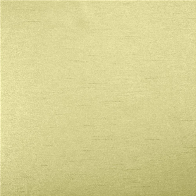 Kasmir Fabric Firenza Honey Dew 5152 100% Polyester
 INDIA 9,000 Wyzenbeek Double Rubs Horizontal: N/A and Vertical: N/A 54 - My Fabric Connection -