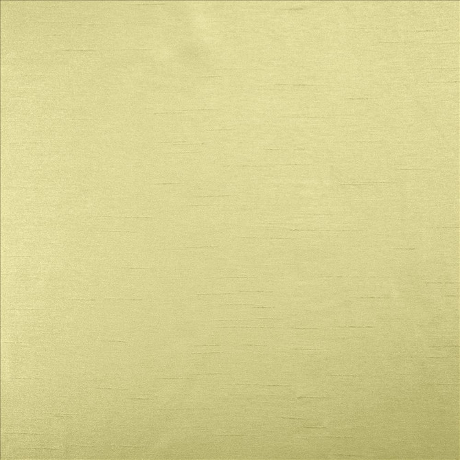 Kasmir Fabric Firenza Honey Dew 5152 100% Polyester
 INDIA </p><p>Repeat: Horizontal: N/A and Vertical: N/A 54 - 55 - My Fabric Connection -