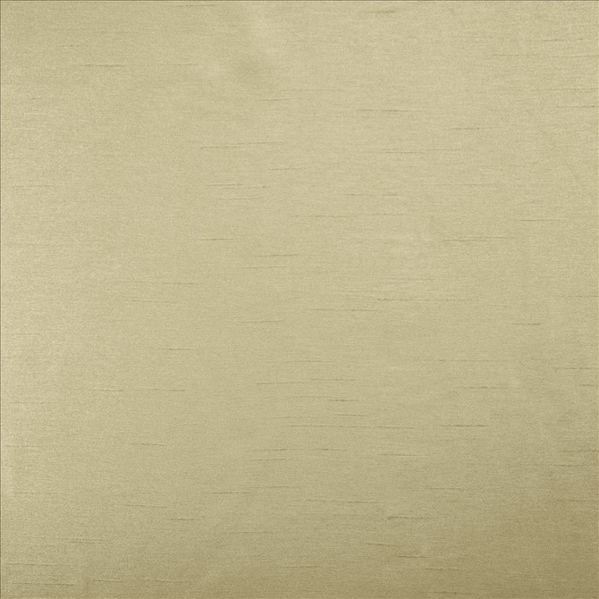 Kasmir Fabric Firenza Smoke See sample 100% Polyester
 INDIA 9,000 Wyzenbeek Double Rubs </p><p>Repeat: Horizontal: N/A and Vertical: N/A 54 - My Fabric Connection -