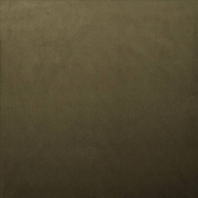 Kasmir Fabric Lyndhurst Caper 5158 100% Polyester CHINA 100,000 Wyzenbeek Double Rubs Horizontal: 0 Inches and Vertical: 0 Inches 54 - My Fabric Connection -