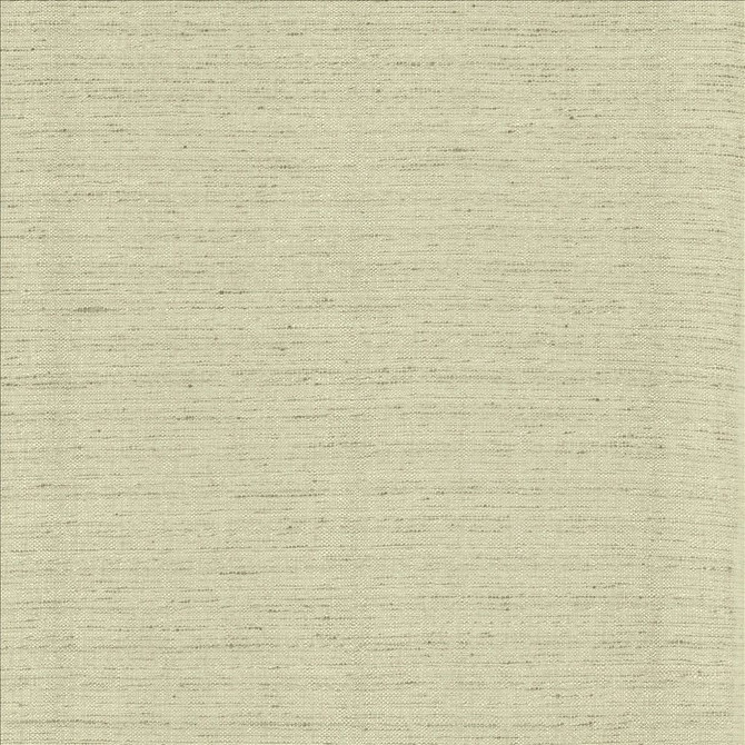 Kasmir Fabric Polished Fog 5153 100% Polyester INDIA 51,000 Wyzenbeek Double Rubs Horizontal: 0 Inches and Vertical: 0 Inches 55 - My Fabric Connection -