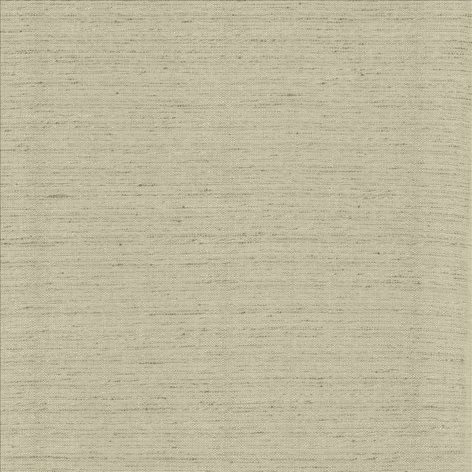 Kasmir Fabric Polished Fog See sample 100% Polyester
 INDIA 51,000 Wyzenbeek Double Rubs </p><p>Repeat: Horizontal: N/A and Vertical: N/A 55 - My Fabric Connection -