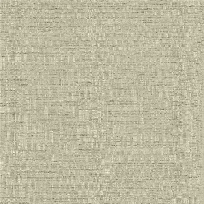 Kasmir Fabric Polished Fog 5153 100% Polyester
 INDIA </p><p>Repeat: Horizontal: N/A and Vertical: N/A 55 - My Fabric Connection -