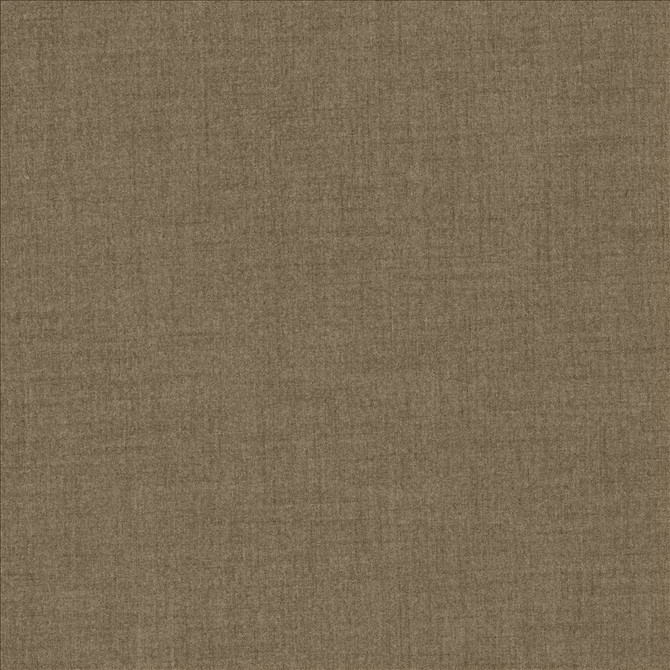 Kasmir Fabric Refined Acorn See sample 100% Polyester
 TAIWAN 50,000 Wyzenbeek Double Rubs </p><p>Repeat: Horizontal: N/A and Vertical: N/A 54 - My Fabric Connection -