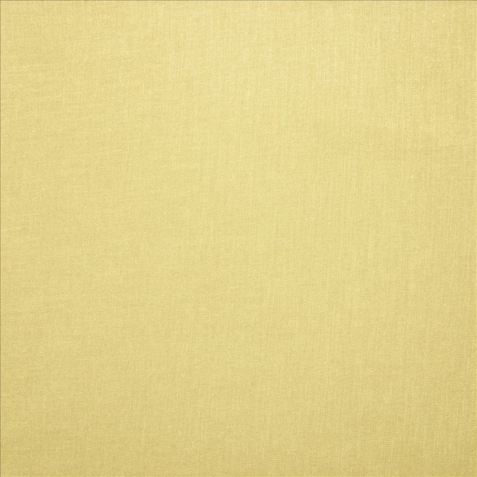 Kasmir Fabric Subtle Chic Sunshine 5160 100% Polyester
 INDIA 50,000 Wyzenbeek Double Rubs Horizontal: N/A and Vertical: N/A 54 - My Fabric Connection -