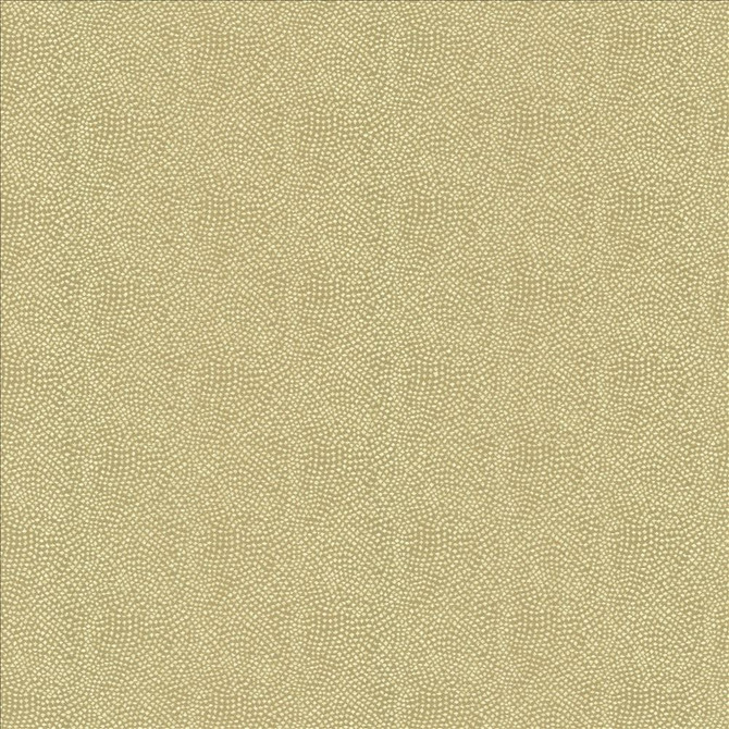 Kasmir Fabric Textured Dot Oatmeal 5144 100% Polyester
 CHINA 15,000 Wyzenbeek Double Rubs </p><p>Repeat: Horizontal: N/A and Vertical: N/A 54 - My Fabric Connection -