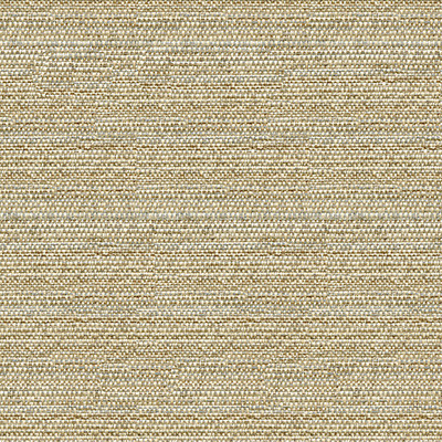 Kravet Design Fabric Helm Dune