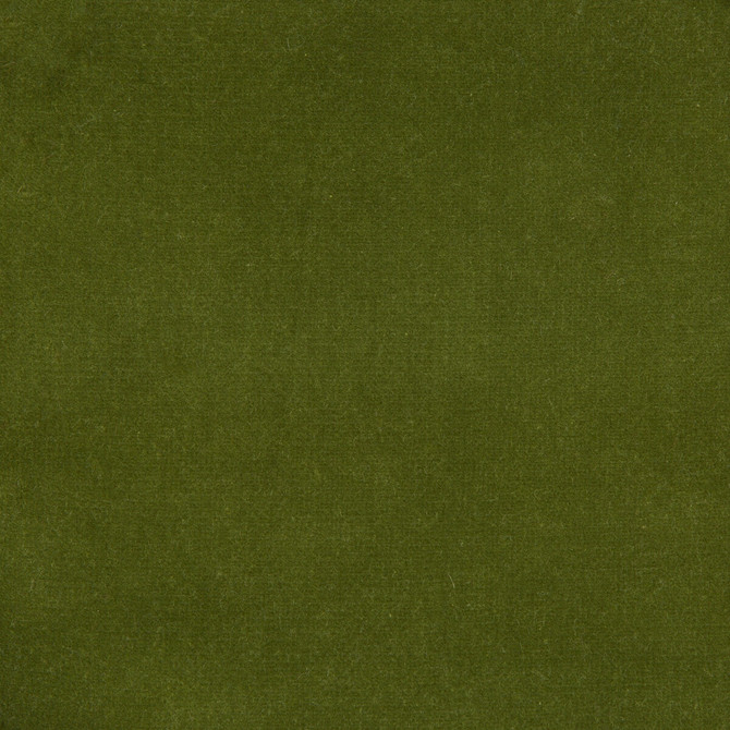 Kravet Design Fabric Versailles-E272240 COTTON - 100% Netherlands HEAVY Horizontal: 0 and Vertical: 0 54 - My Fabric Connection -