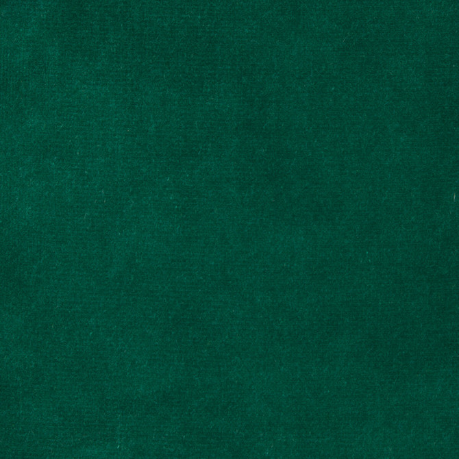 Kravet Design Fabric Versailles-E267020 COTTON - 100% Netherlands HEAVY Horizontal: 0 and Vertical: 0 54 - My Fabric Connection -