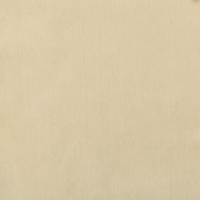 Kravet Design Fabric Versailles-E244250 - COTTON - 100% Netherlands HEAVY Horizontal: 0 and Vertical: 0 54 - My Fabric Connection -