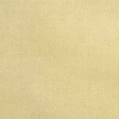 Kravet Design Fabric Versailles-E244010 - COTTON - 100% Netherlands HEAVY Horizontal: 0 and Vertical: 0 54 - My Fabric Connection -