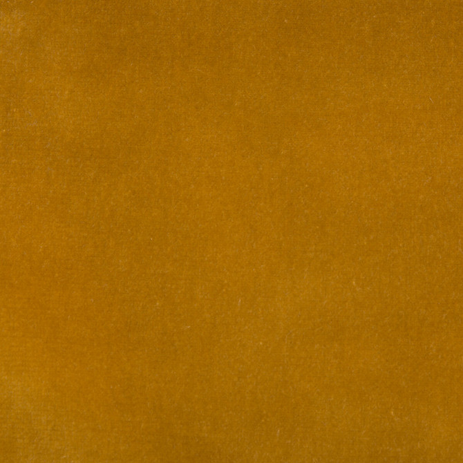 Kravet Design Fabric Versailles-E219010 COTTON - 100% Netherlands HEAVY Horizontal: 0 and Vertical: 0 54 - My Fabric Connection -