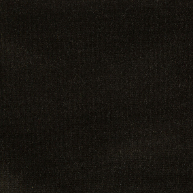 Kravet Design Fabric Versailles-E207000 - COTTON - 100% Netherlands HEAVY Horizontal: 0 and Vertical: 0 54 - My Fabric Connection -