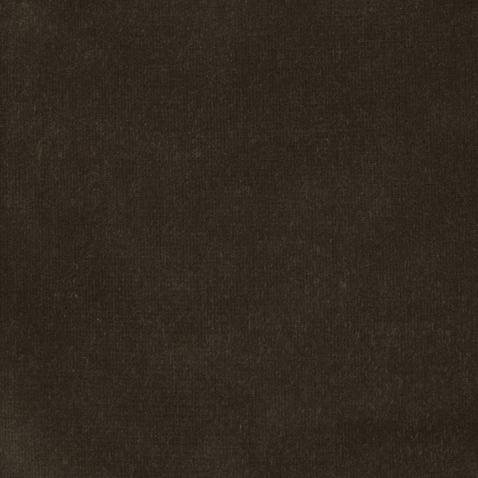 Kravet Design Fabric Versailles-E205370 COTTON - 100% Netherlands HEAVY Horizontal: 0 and Vertical: 0 54 - My Fabric Connection -