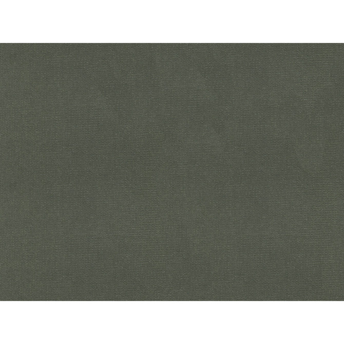 Kravet Design Fabric Versailles-E205100 - COTTON - 100% Netherlands HEAVY Horizontal: 0 and Vertical: 0 54 - My Fabric Connection -