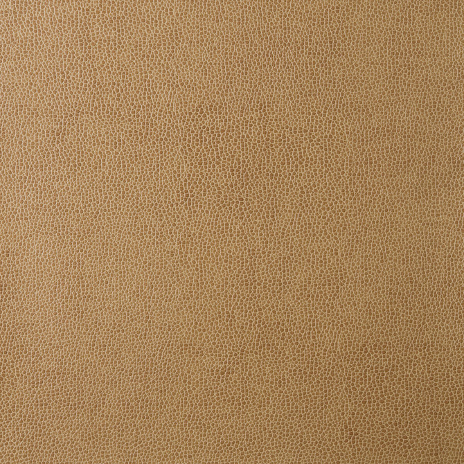 Kravet Design Fabric Sparta-16 POLYESTER - 55%;POLYURETHANE - 45% Korea, Republic of HEAVY Horizontal: 0 and Vertical: 0 54 - My Fabric Connection -