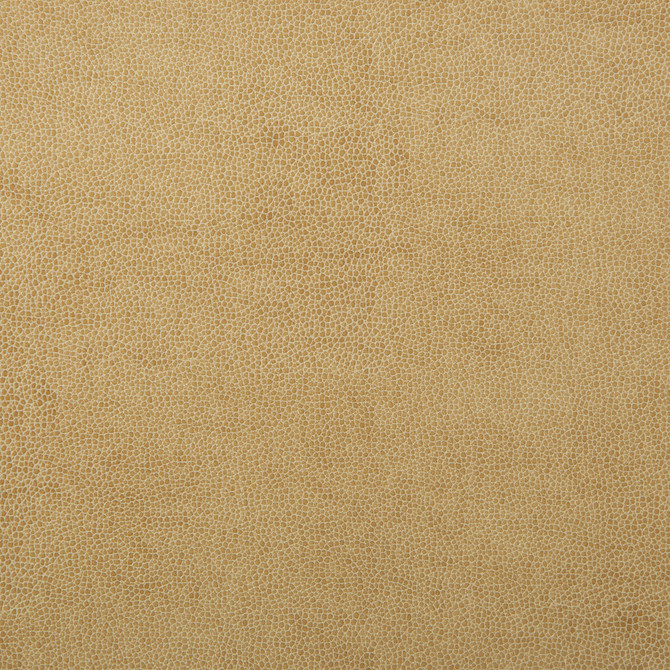 Kravet Design Fabric Sparta-1 - POLYESTER - 55%;POLYURETHANE - 45% Korea, Republic of HEAVY Horizontal: 0 and Vertical: 0 54 - My Fabric Connection -