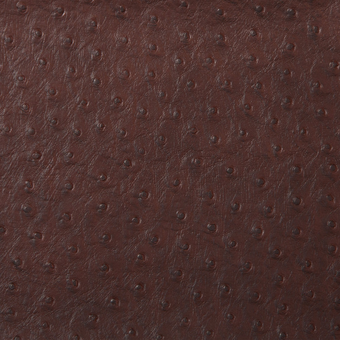 Kravet Design Fabric Kravet Design Senna-66