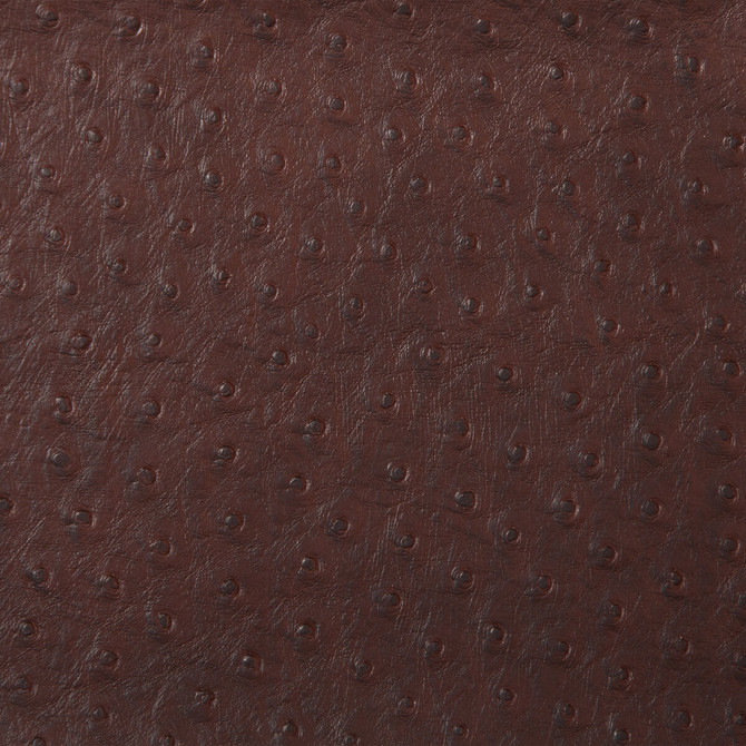 Kravet Design Fabric Senna-66 POLY VINYL CHLORIDE - 75%;POLYESTER - 16%;COTTON - 9% Korea, Republic of HEAVY Horizontal: 0 and Vertical: 0 54 - My Fabric Connection -