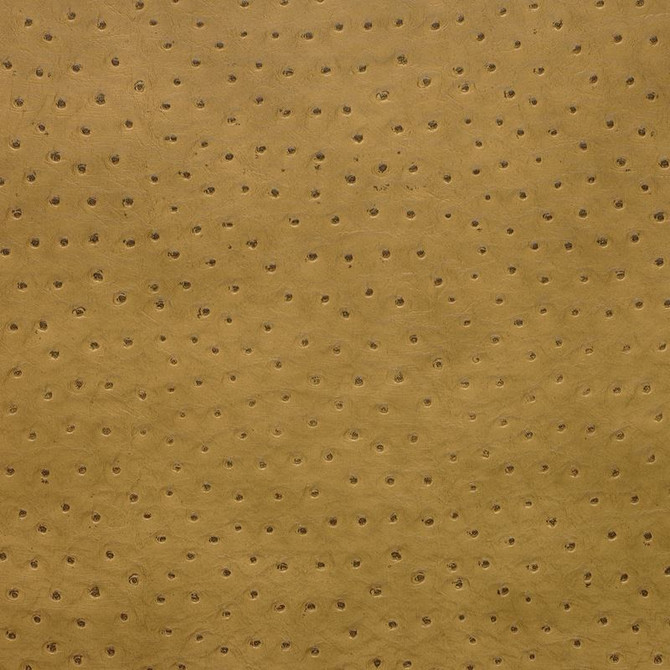 Kravet Design Fabric SENNA.4 our website for purchase 100% Leather Korea, Republic of Heavy Horizontal: see sample and Vertical: see sample 54 inches - My Fabric Connection -