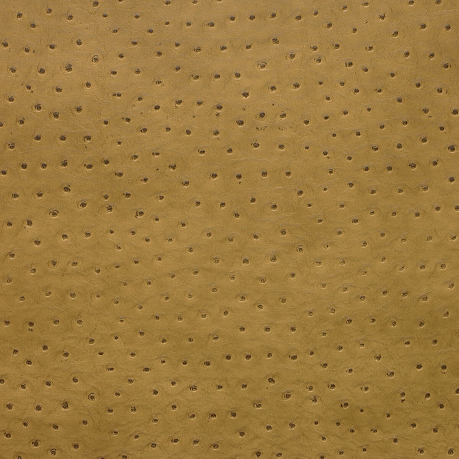 Kravet Design Fabric Senna-4 - POLY VINYL CHLORIDE - 75%;POLYESTER - 16%;COTTON - 9% Korea, Republic of HEAVY Horizontal: 0 and Vertical: 0 54 - My Fabric Connection -