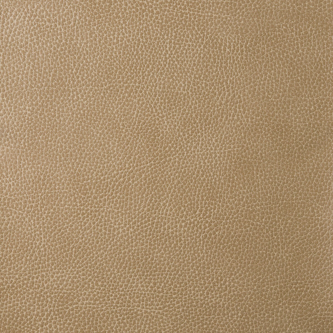 Kravet Design Fabric Loris-30 POLY VINYL CHLORIDE - 75%;POLYESTER - 16%;COTTON - 9% Korea, Republic of HEAVY Horizontal: 0 and Vertical: 0 54 - My Fabric Connection -