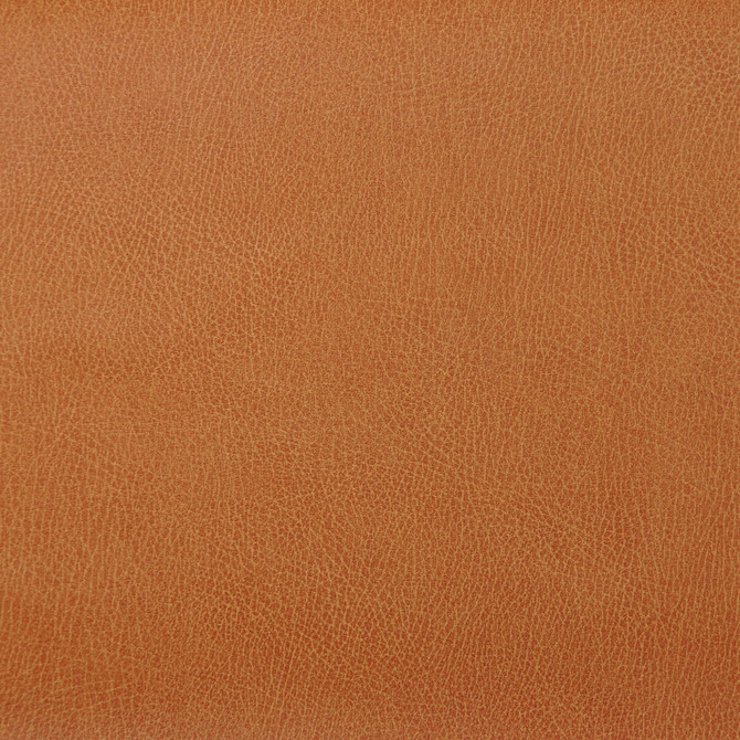 Kravet Design Fabric Kravet Design Caswell-12