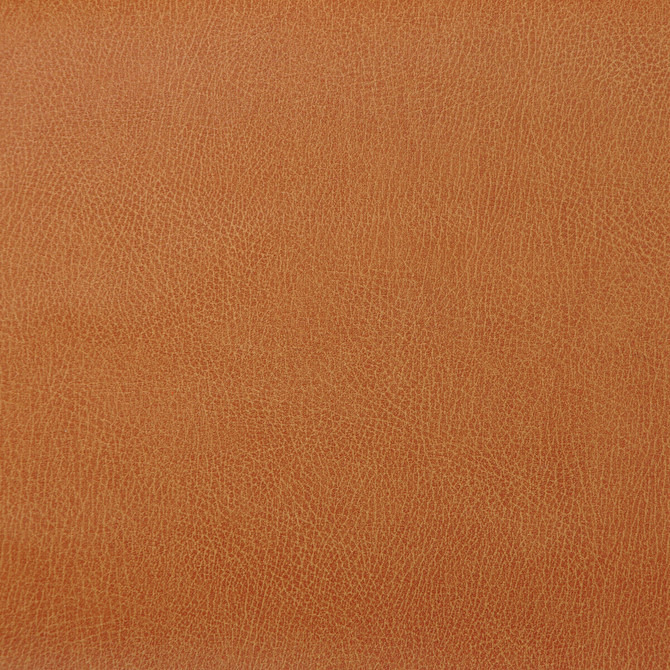 Kravet Design Fabric Caswell-12 POLYESTER - 55%;POLYURETHANE - 45% Korea, Republic of HEAVY Horizontal: 0 and Vertical: 0 54 - My Fabric Connection -