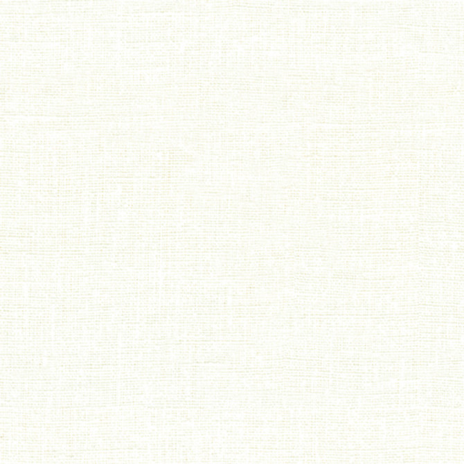 Kravet Design Fabric Shruti Dove