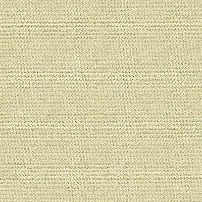Kravet Basics Fabric Jet Setter Golden Kiss