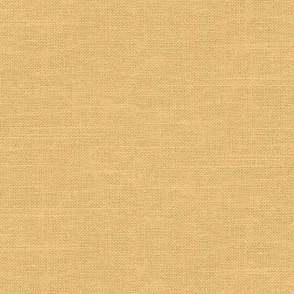Kravet Basics Fabric Barnegat Camel