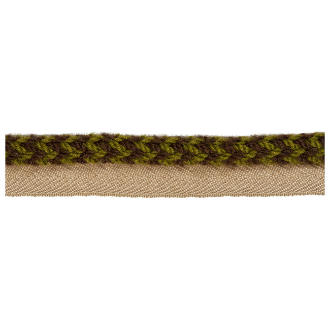 Kravet Design Trim Vine Cord Lichen ACRYLIC - 72%;COTTON - 14%;POLYESTER - 14% China LIGHT Horizontal: 0 and Vertical: 0 0.25 - My Fabric Connection -