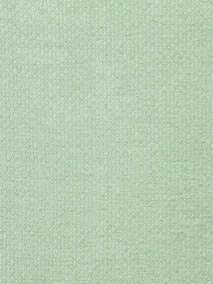 Beacon Hill Fabric Pascal Mint MINT 70% RAYON 16% POLYESTER 12% COTTON 2% LINEN UNITED STATES Pure Solvents Dry Cleaning Horizontal: and Vertical: 48-50" - My Fabric Connection -