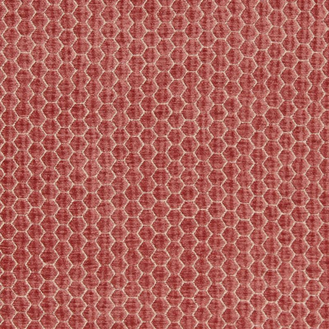 Beacon Hill Fabric Pascal Coral Color Books I 13 Upholstery USA - Horizontal: - and Vertical: - 48-50 inches - My Fabric Connection -