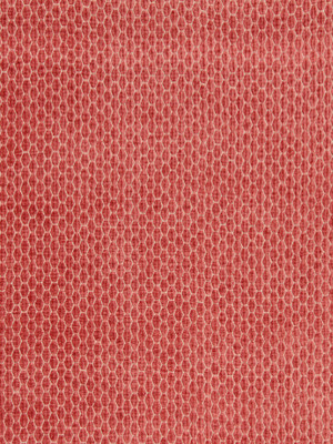 Beacon Hill Fabric Pascal Coral CORAL 70% RAYON 16% POLYESTER 12% COTTON 2% LINEN UNITED STATES Pure Solvents Dry Cleaning Horizontal: and Vertical: 48-50" - My Fabric Connection -
