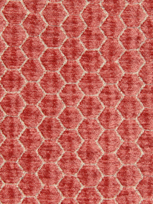 Beacon Hill Fabric Pascal Coral CORAL 70% RAYON 16% POLYESTER 12% COTTON 2% LINEN UNITED STATES Pure Solvents Dry Cleaning Horizontal: and Vertical: 48-50" - My Fabric Connection -