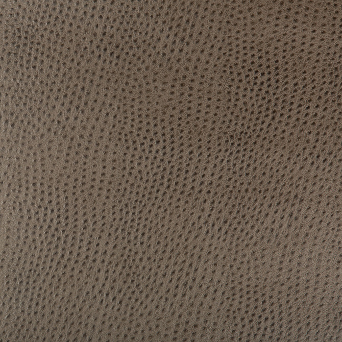 Kravet Design Fabric Hubble-106 POLYURETHANE - 73%;POLYESTER - 17%;COTTON - 10% China HEAVY Horizontal: and Vertical: 54 - My Fabric Connection -