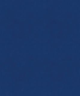 Barrow Fabric Goodrich 11905 M9989 1707 100% POLYESTER KNIT PILE FABRIC CHINA 30,000 DOUBLE RUBS </p><p>Repeat: Horizontal: and Vertical: 54" Minimum - My Fabric Connection -