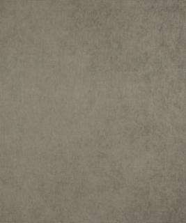 Barrow Industries Fabric Fierce Carbon M9583 Performance Fabrics/15CL04 91% POLYESTER
9% NYLON Asia 50,000 DOUBLE RUBS Horizontal: 0" and Vertical: 0" 59" - My Fabric Connection -