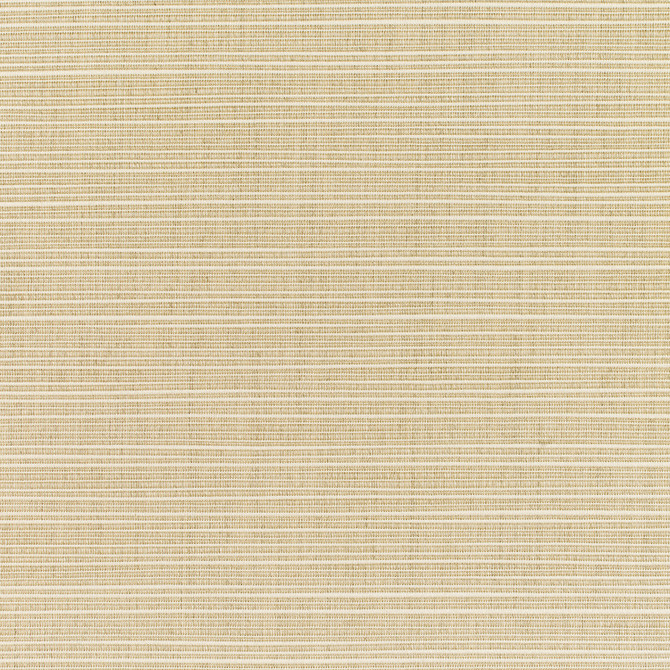 Sunbrella Fabric 8011 Dupione Sand Sunbrella Elements - Dupione Sunbrella® Acrylic, Sunbrella® Polyester, Sunbrella® Non-Phthalate PVC USA or Imported 5-Year Horizontal: and Vertical: 60 yd. 54 in. - My Fabric Connection -