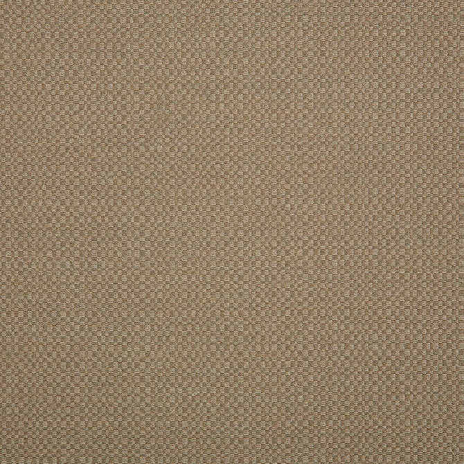 Sunbrella Fabric 44285-0003 Action Taupe our website for purchase 100% Sunbrella Acrylic USA (see sample) n/a 54"  - My Fabric Connection -