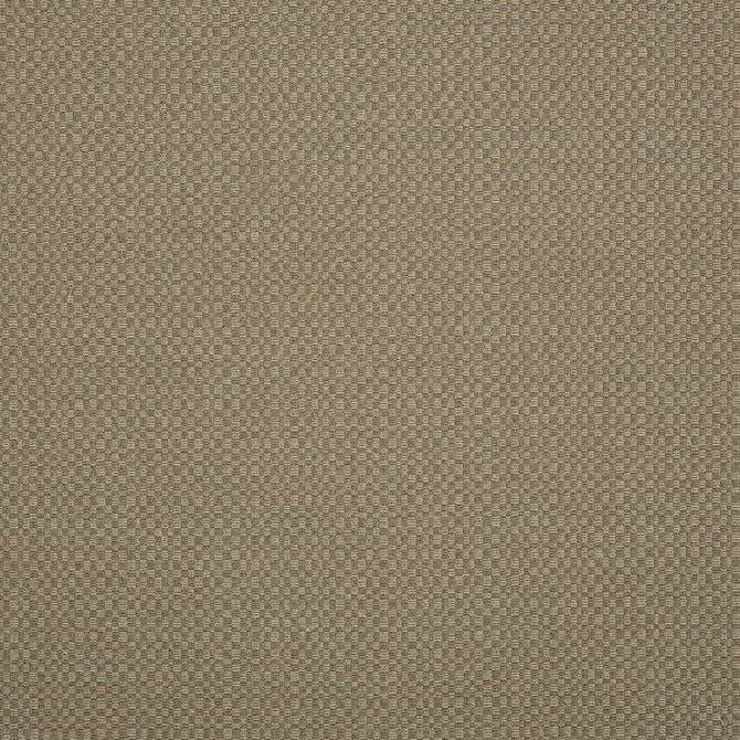 Sunbrella Fabric 44285-0003 Action Taupe Sunbrella Elements - Decorative Sunbrella® Acrylic, Sunbrella® Polyester, Sunbrella® Non-Phthalate PVC USA or Imported 5-Year Horizontal: 60 yd. and Vertical: 2.9 in. 54 in. - My Fabric Connection -