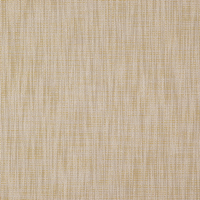 JF Fabric ALASTOR 15J7851 ALASTOR 100% Polyester INDIA ABRASIO (HEAVY DUTY- 30,000+ DOUBLE RUBS) Horizontal: N/A and Vertical: N/A 55.00 - My Fabric Connection -