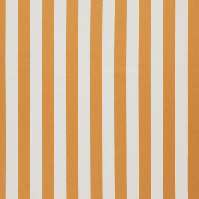 JF Fabric Falsetto 24J7611 Le Cirque Book 59% Cotton, 41% Polyester India 50000 Horizontal: 2 and Vertical: 55 - My Fabric Connection -